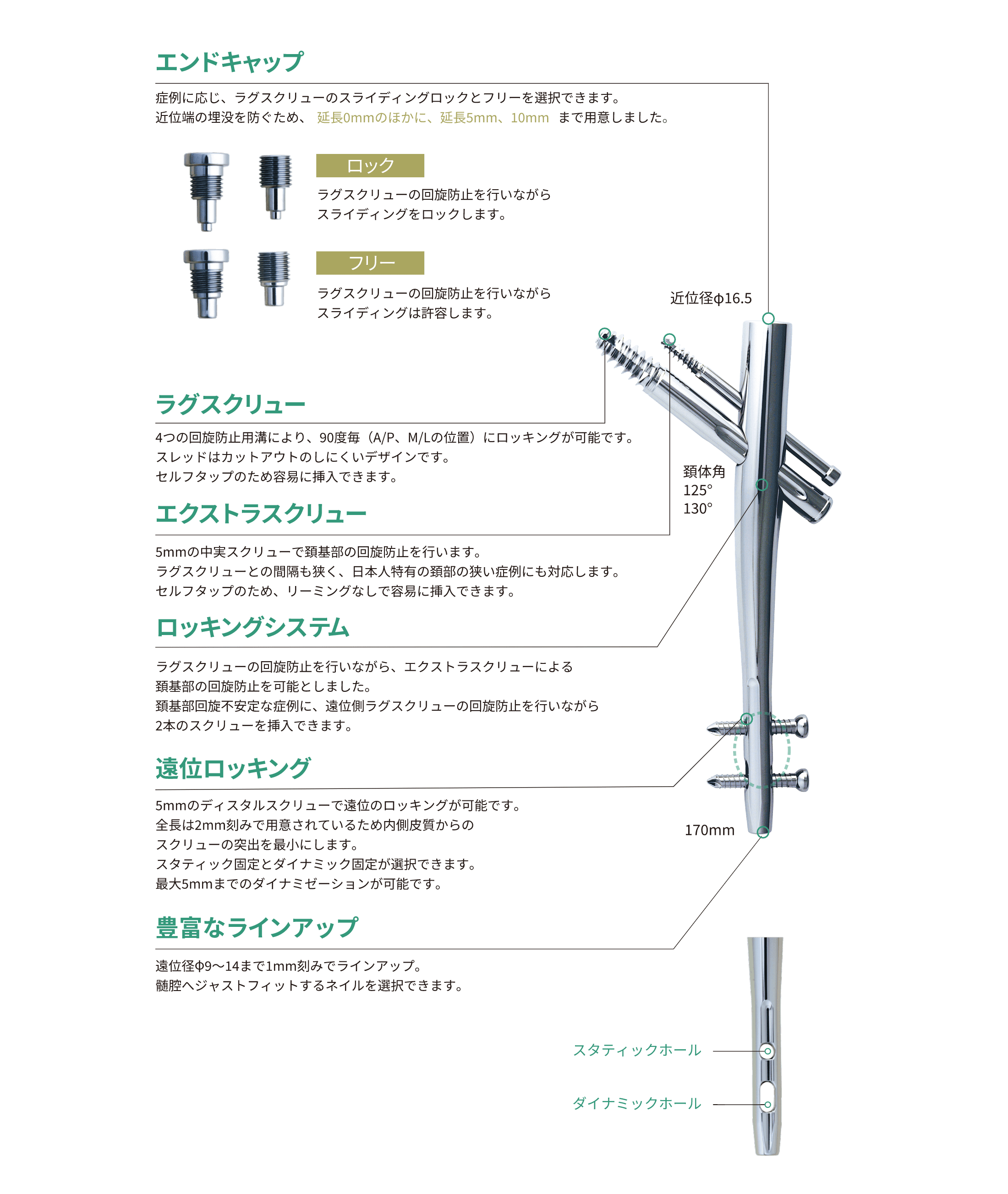 IPTネイルシステム