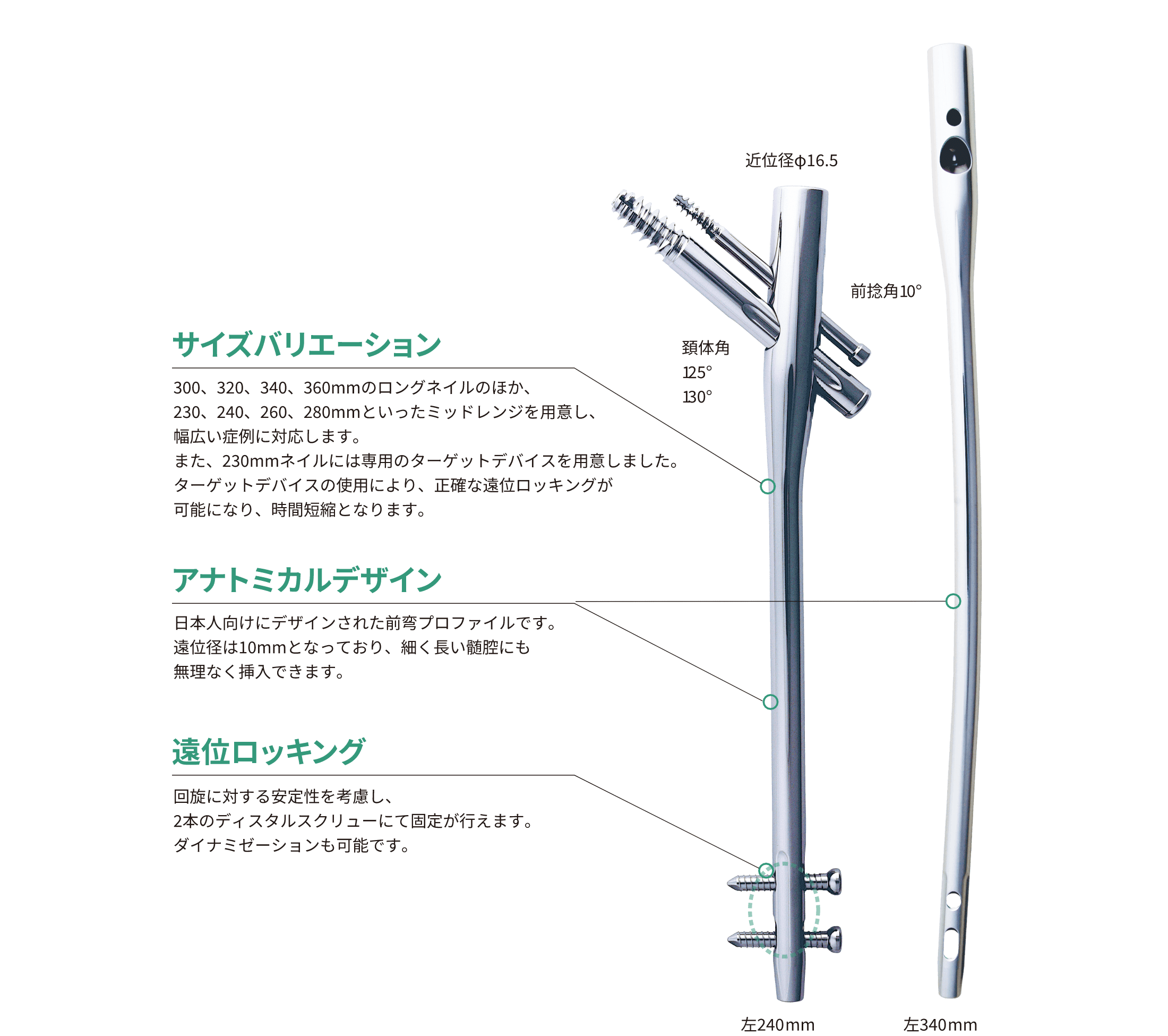 IPTロングネイルシステム