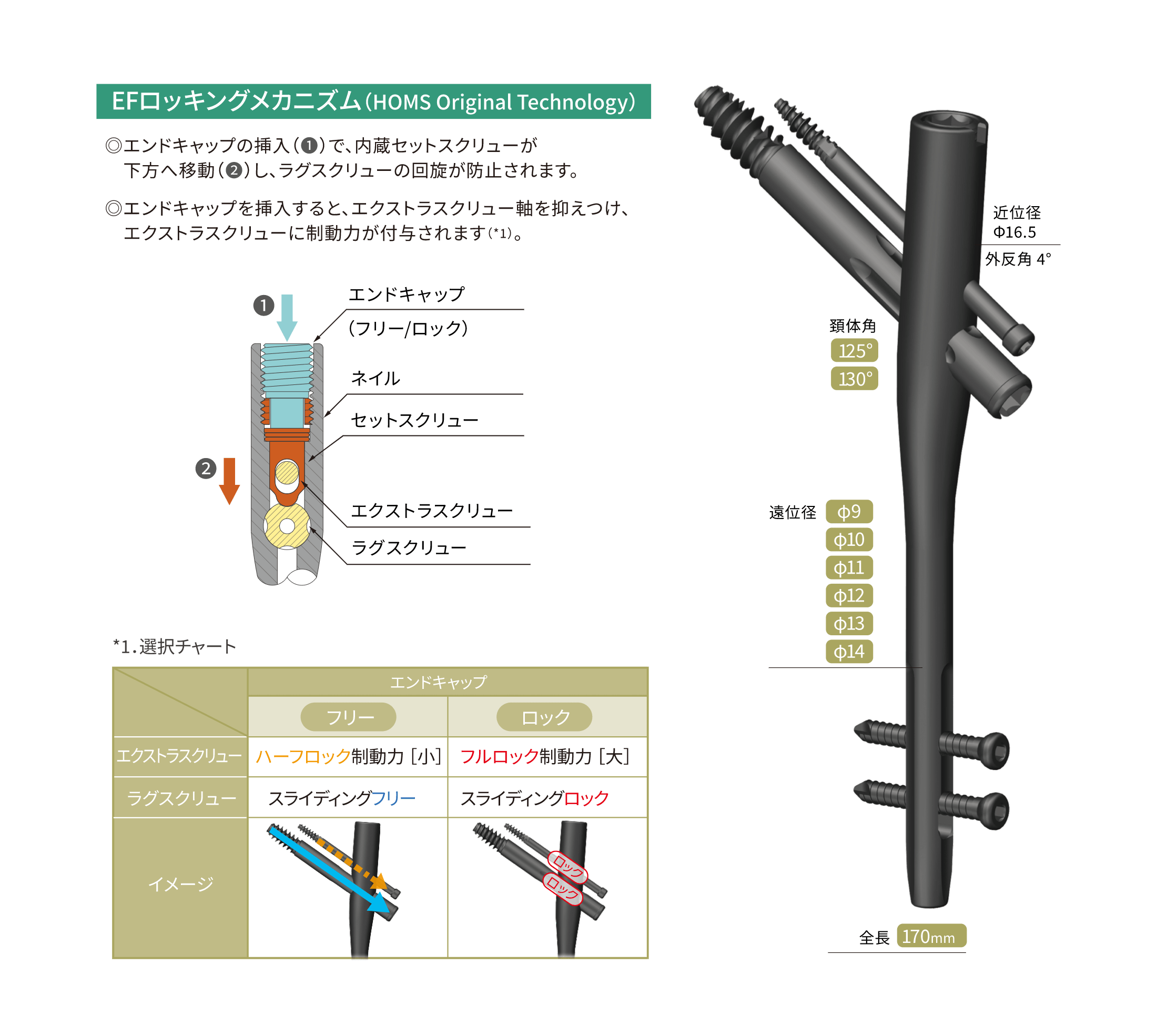 IPE-EFネイル（IPTネイルシステム）