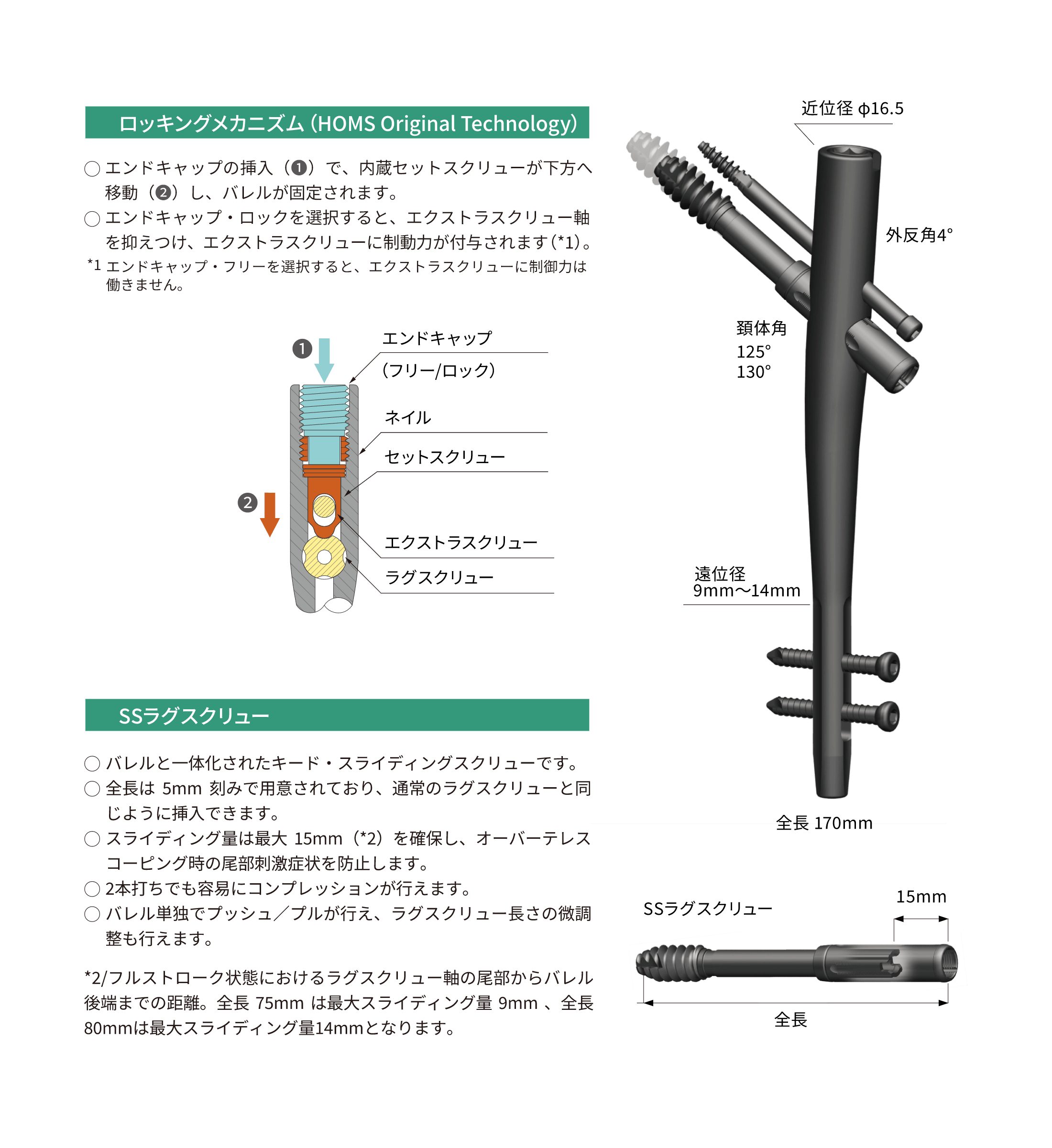 IPT-SSネイル（IPTネイルシステム）