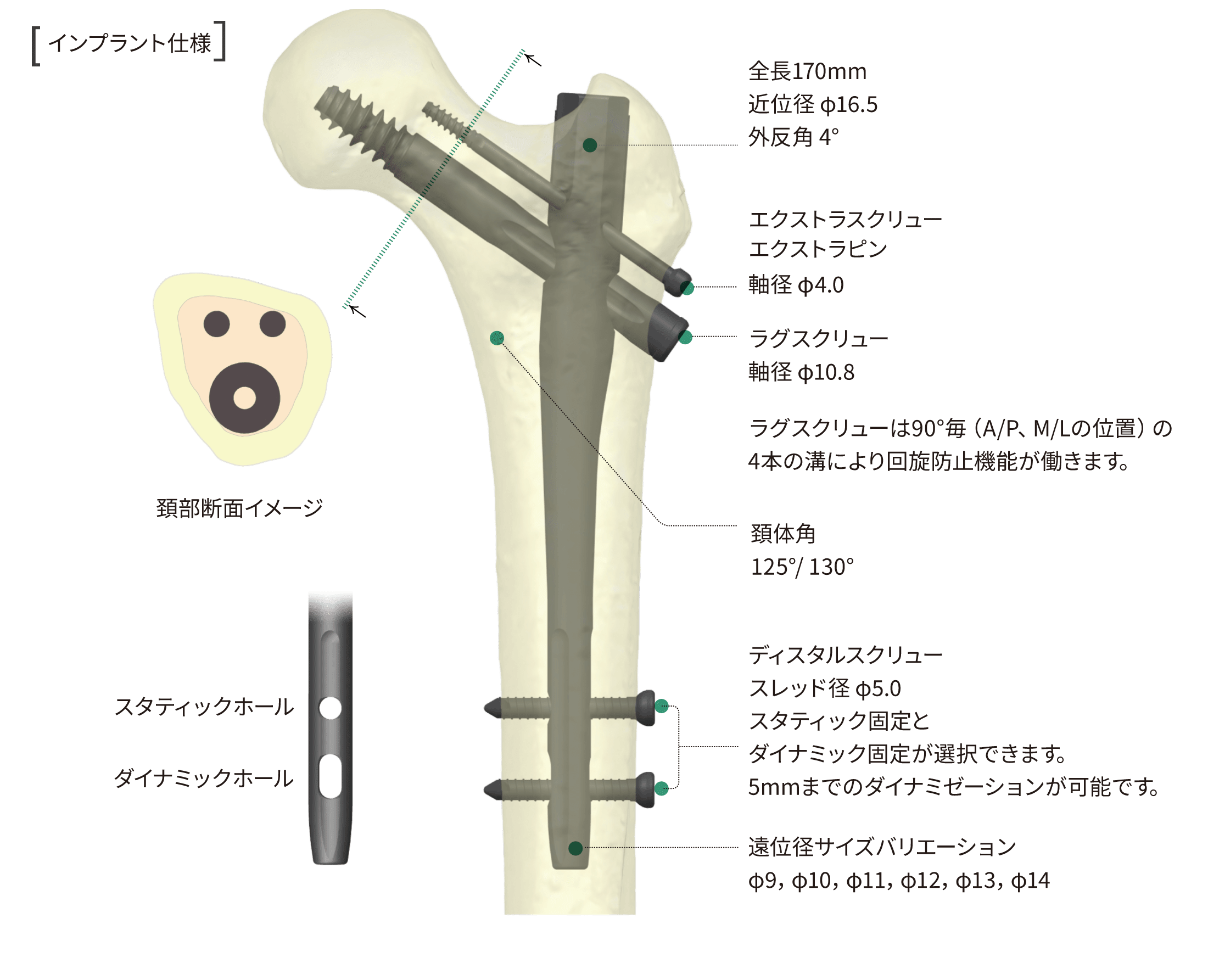 TESネイル